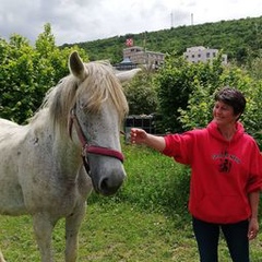 Anica Bidar, 53 года, Lesično