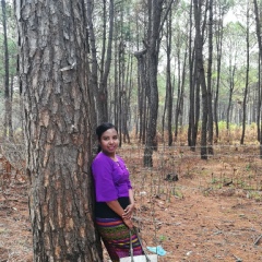 Chocho Kyawthumaung, 48 лет, Yangon