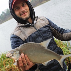 Александр Буяк, Гродно