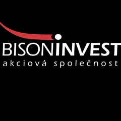 Bison Invest, 27 лет, Ostrava