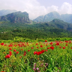 Луиза Мухаметрахимова, Казань