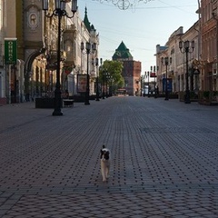 Александр Ветелев, Нижний Новгород