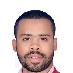 Mohamed Elshater, 26 лет, Aswan