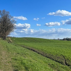 Елена Ярославская, Ярославль