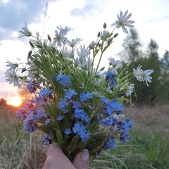 Аэлита Кучинская, Лида