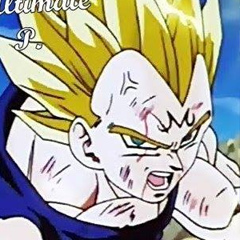 Vegeta Dbz