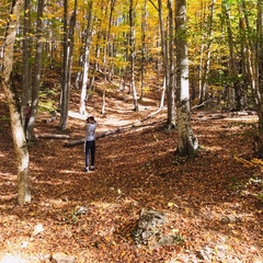 Александр Чернецкий, Симферополь