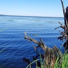 Дмитрий Воеводин, Москва