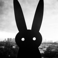 Rabbit Black