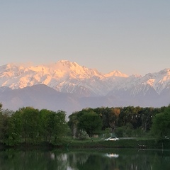 Александр Киселёв, Алматы