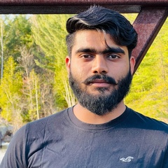 Kishan Talavia, 23 года, Greater Sudbury