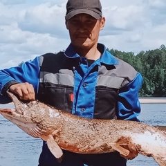 Михаил Кайкалесов, Нижневартовск