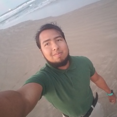 Alfredo Hdz, 30 лет, Tijuana