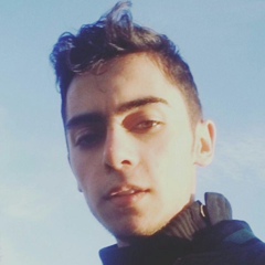 Hossein Bozqurd, 26 лет, Ardabil