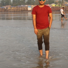 Anshu Gaurav, 30 лет, Kolkata