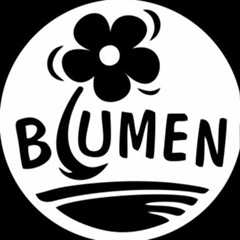 Blumen Mogilev, 33 года, Могилёв