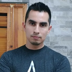 Jose-Roberto Sanchez-Ibarra, 40 лет, Monterrey