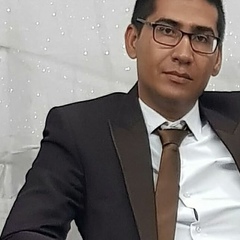 Ramtin Khodami, 37 лет, Shiraz