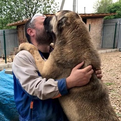 Сергей Круглов, 43 года, Москва