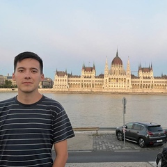 Игорь Ким, Budapest