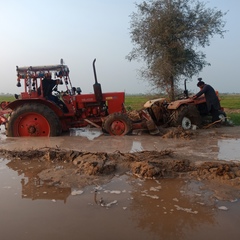 Asad Shah, 38 лет, Bahawalpur