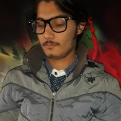 Sikander Bhutti, 26 лет, Gujranwala