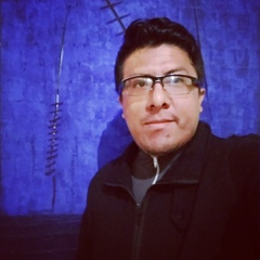 Diego-Javier Maldonado-Caiza, 40 лет, Quito