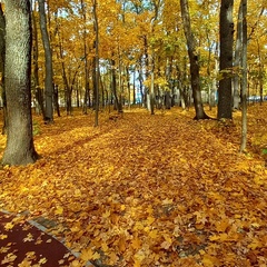 Наталья Шаламова, Пенза