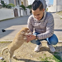 Tabbassi Seif-Eddinne, 30 лет, Tunis