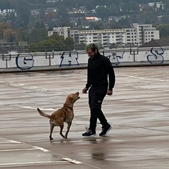 Oswald Kondziela, 33 года, Freiburg im Breisgau