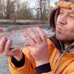 Алексей Борейко, 37 лет, Киев