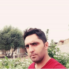 Farshad Jabbari, 34 года, Ardabil