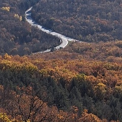 Таня Замковая, 53 года, Севастополь