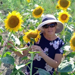 Елена Семёнова, 60 лет, Волосово