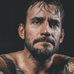 Cm Punk, 46 лет, Chicago