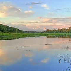 Света М, Вольск