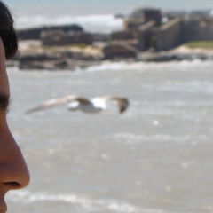 Youssef Elbaaqyly, Essaouira