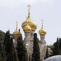 Володимир Ліванський