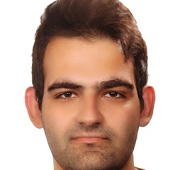 Omid Mahboubi, 29 лет, Mashhad