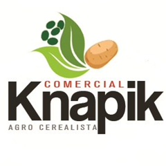 Cap-Jaison Knapik, Curitiba