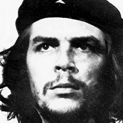 Ernesto Che-Guevara, 25 лет, Bulawayo