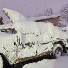 Санёк Ан, Александрия