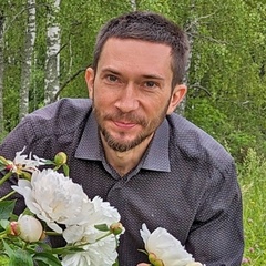 Алексей Пешков, 39 лет, Воронеж