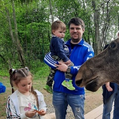 Александр Ратников, Кострома