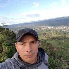 Diego Guallpa, 36 лет, Cuenca