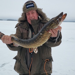 Сергей Лопачев, 56 лет, Великие Луки