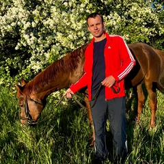 Дмитрий Пономарев, 37 лет, Ишим