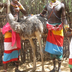 Klasniy Safaris, 38 лет, Nairobi