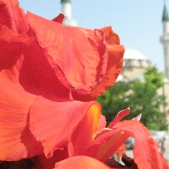 Арсен Сейдалиев, London