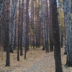 Антон Зуев, Каменск-Уральский